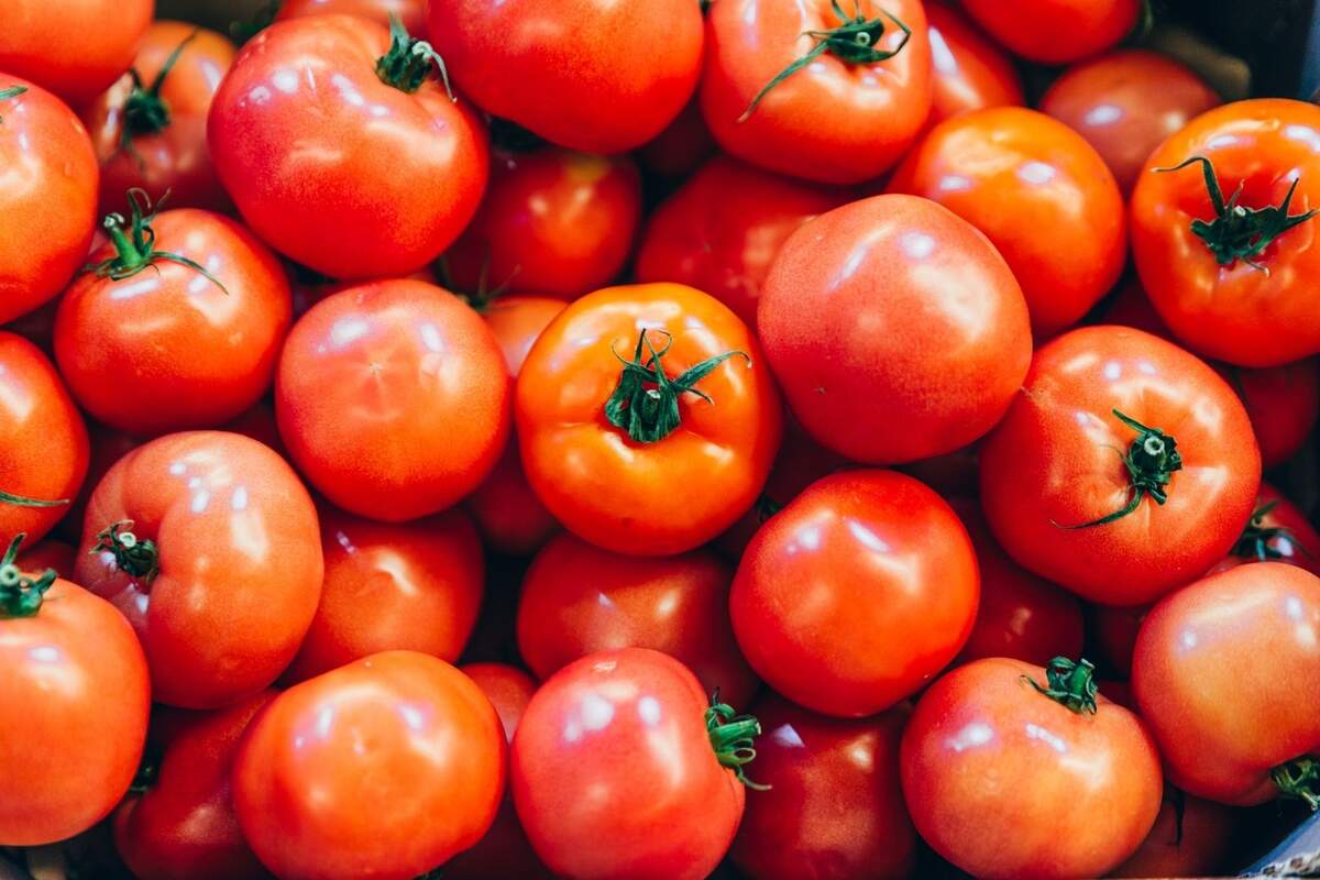 El Mejor Tomate De Bote Que Puedes Comprar En El Supermercado