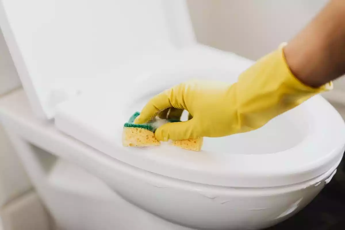 Foto detalle de un váter mientras alguien lo limpia