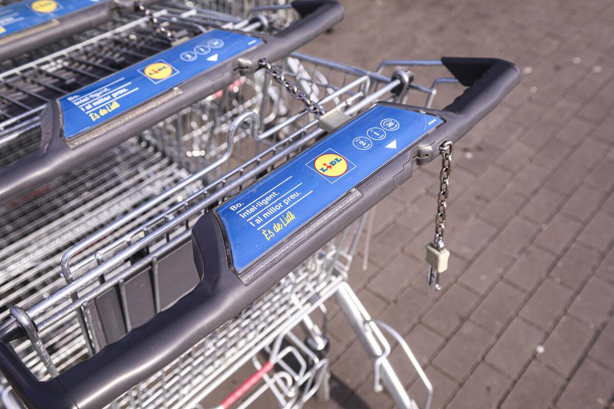 NOVEDADES CATÁLOGO LIDL: El accesorio que arrasa en Lidl para