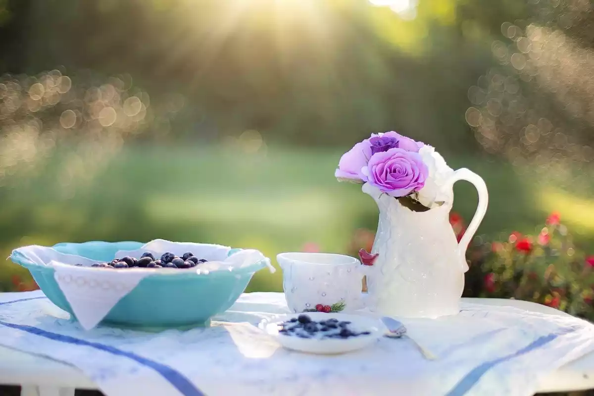 Un desayuno sobre una mesa en el jardín bajo el sol