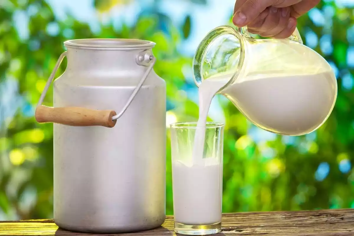 Un vaso de leche sobre una mesa de madera con fondo verde