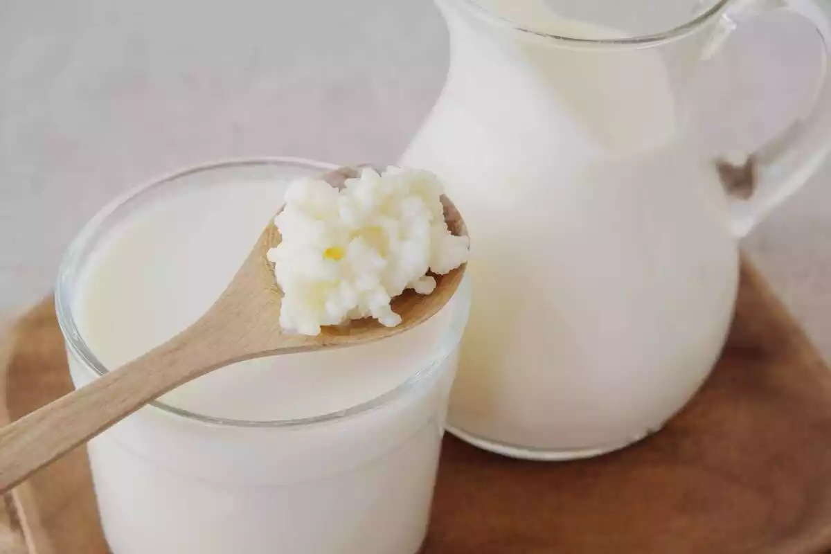Lácteos fermentados en un vaso
