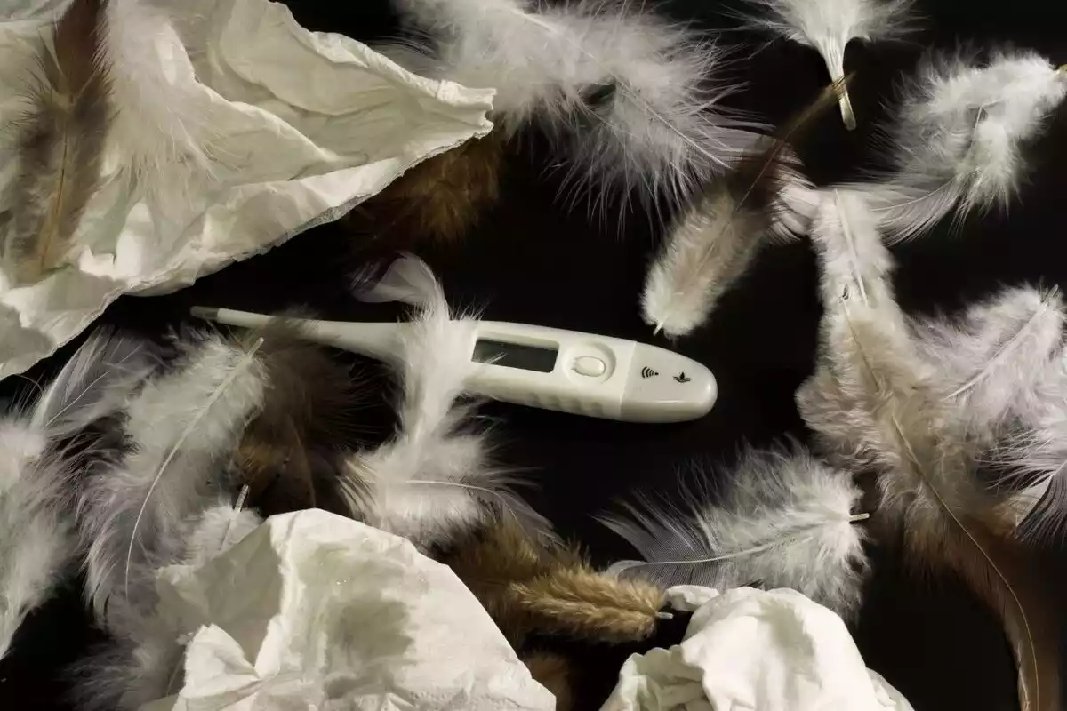 Un termómetro situado en medio de un conjunto de plumas de animales