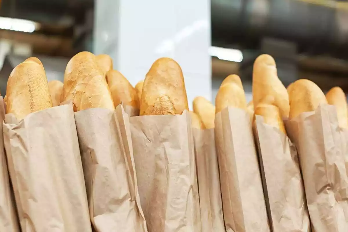 Baguettes de pan en un supermercado