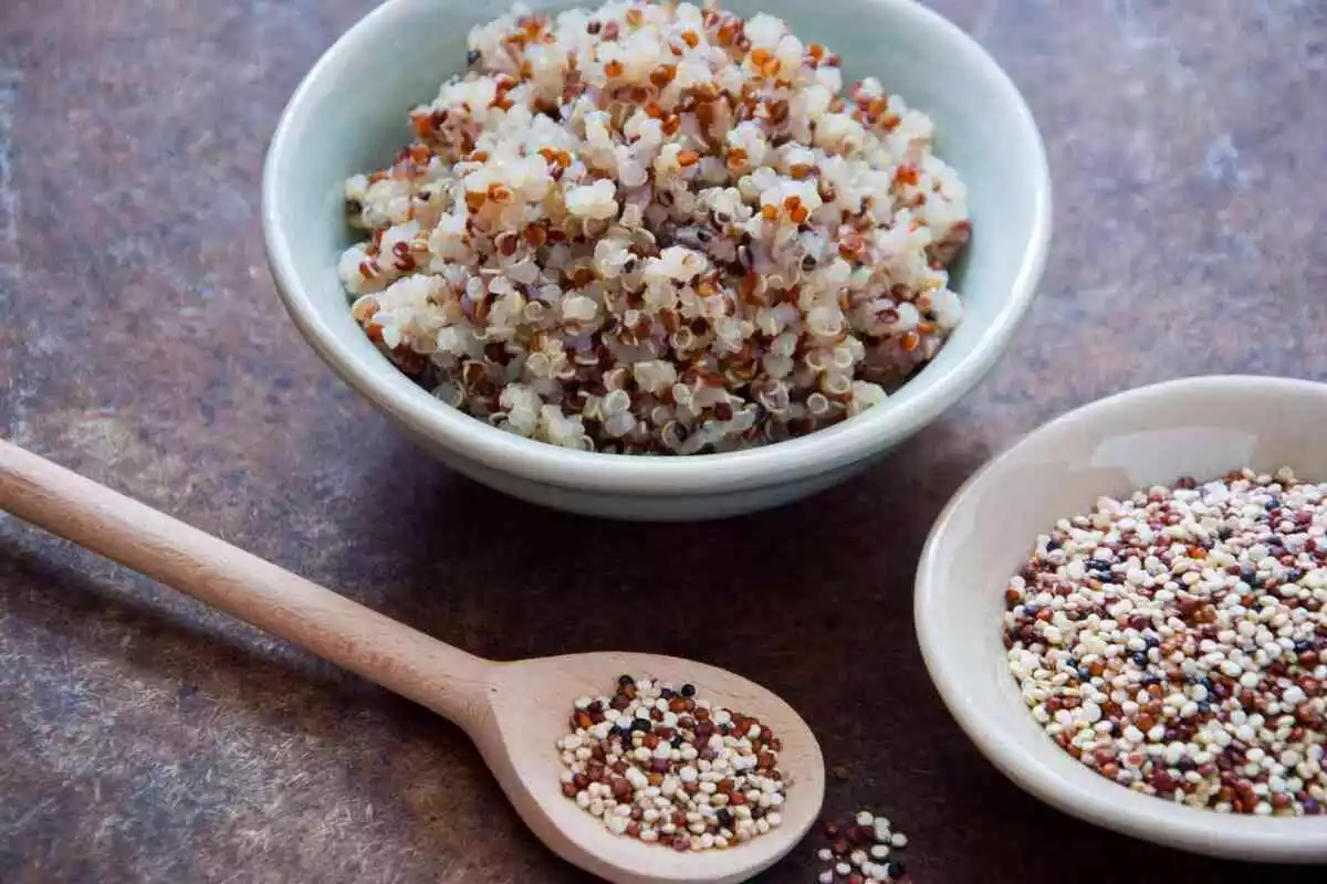 Bol con quinoa hervida, bol con quinoa curda junto a una cuchara con granos de quinoa