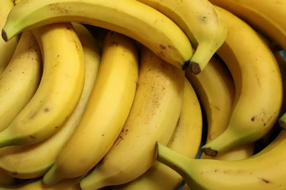 Un montón de bananas amarillas con algunas marcas oscuras