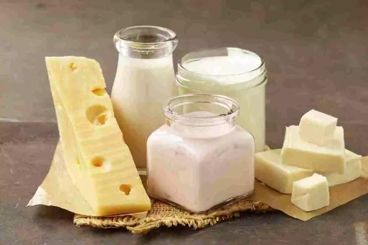 Variedad de láctoes: queso, yougur, leche, mantequilla