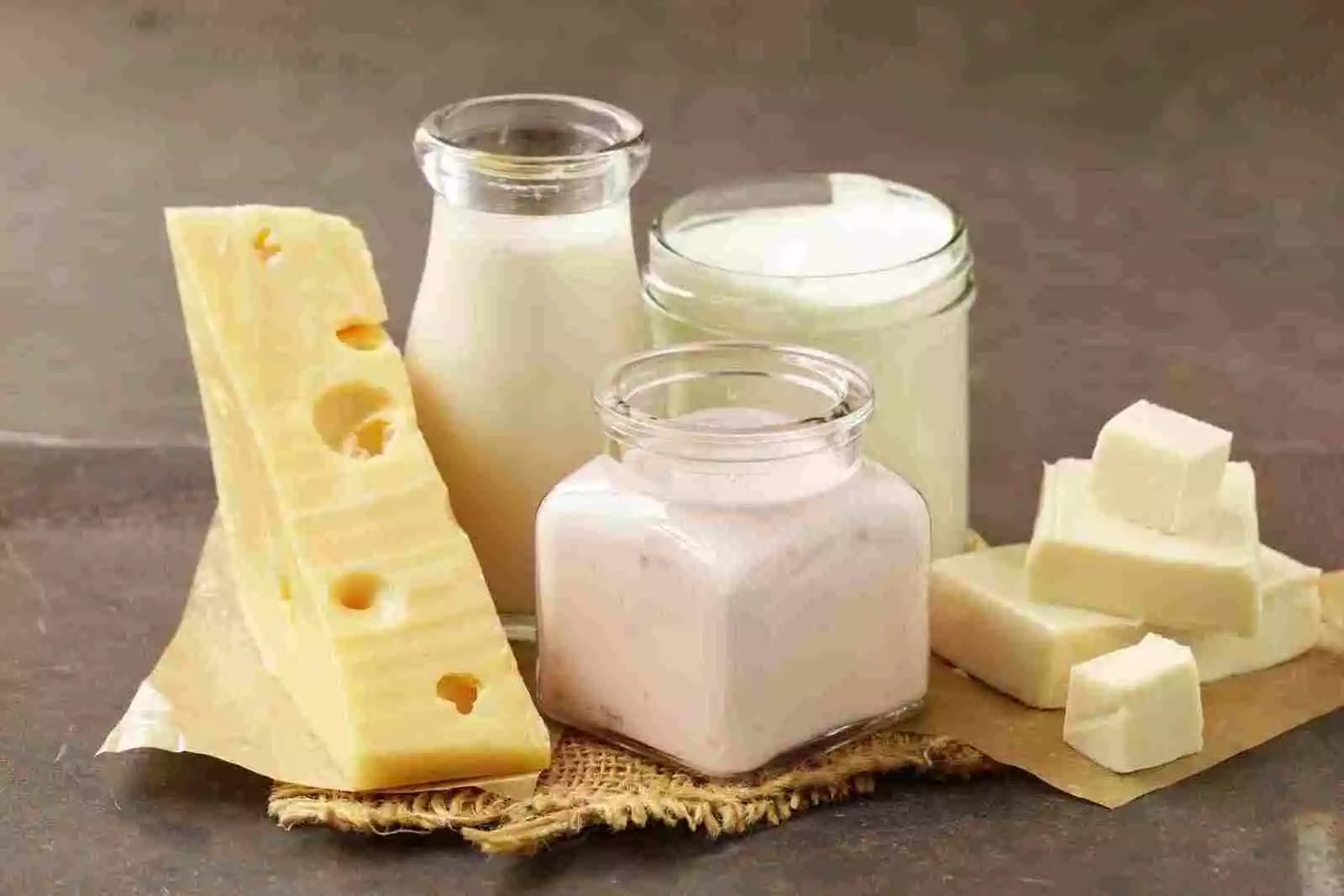 Cuáles son los productos derivados de la leche?
