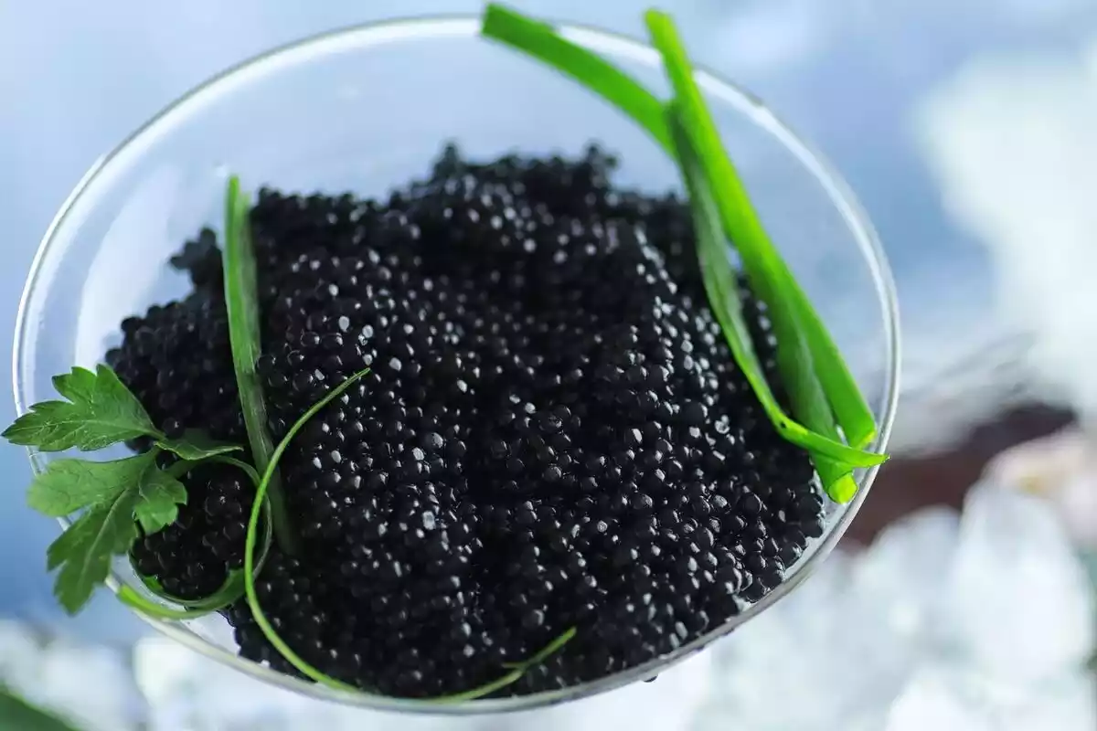 Copa con caviar de beluga vista de cerca