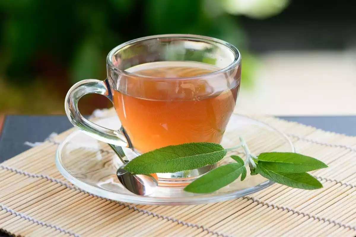 Una taza de té anaranjado junto a hojas de salvia