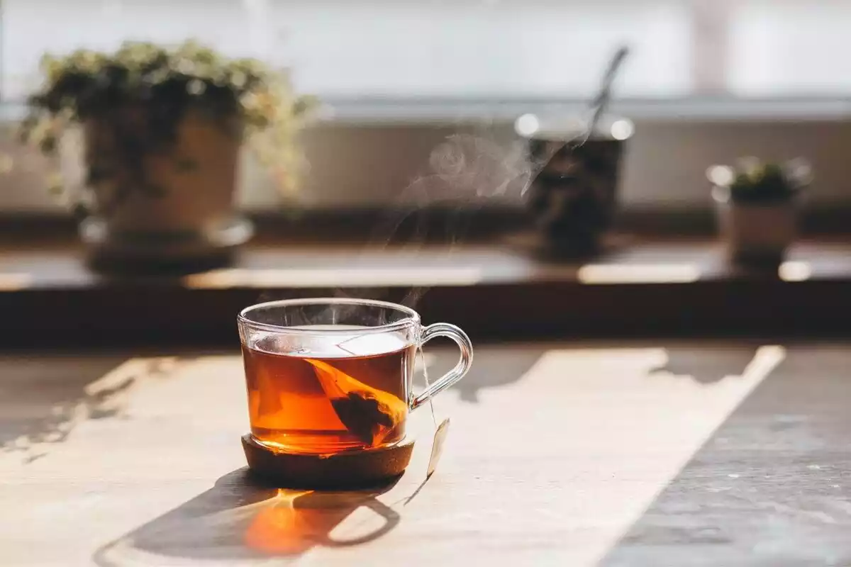 Una taza de té sobre una mesa de madera y macetas detrás