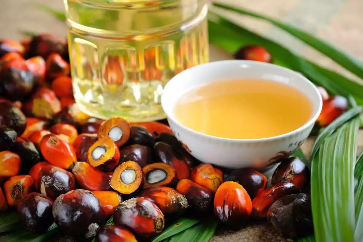 Frutas de palma junto a una botella y un recipiente con aceite de palma