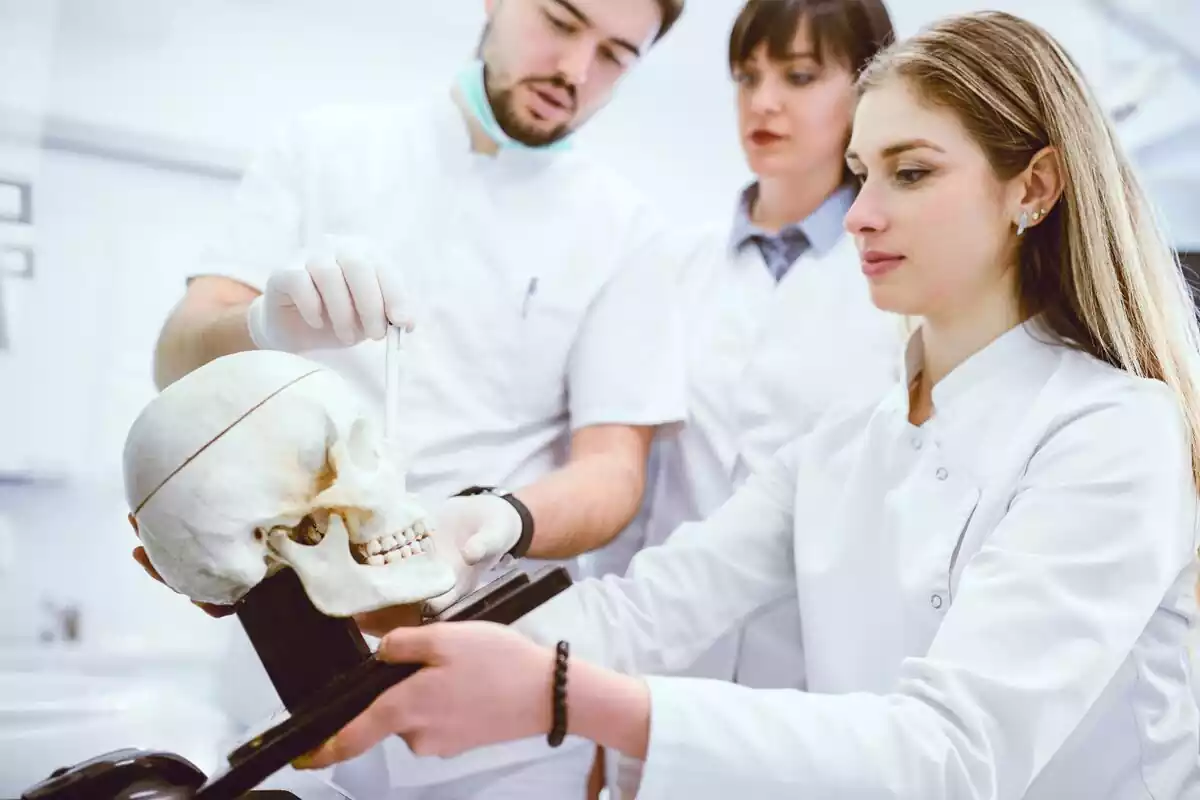 Grupo de médicos estudiando un cráneo humano
