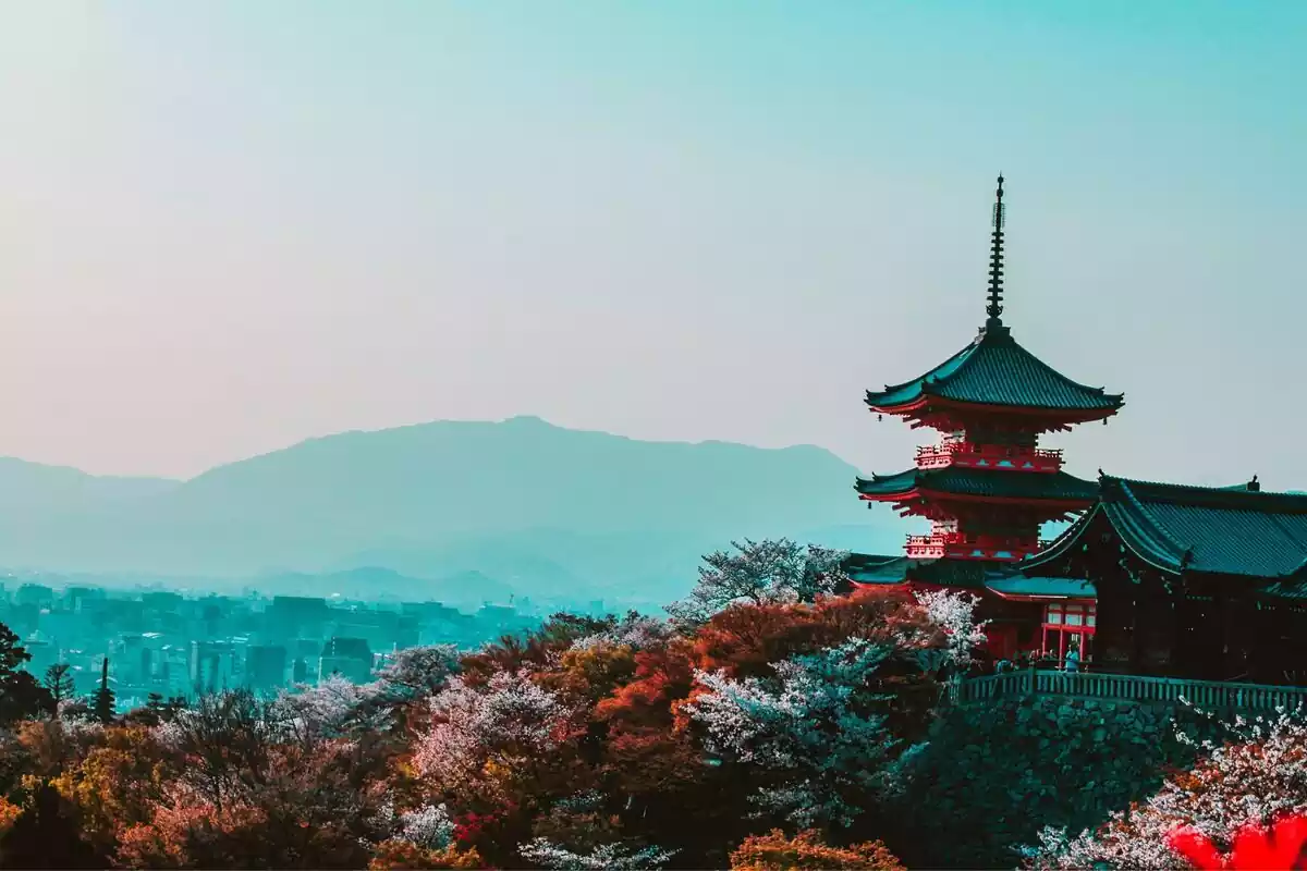 Templo japonés rodeado por arboles