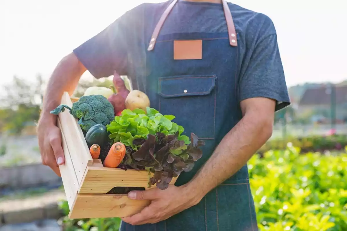 Hombre sujetando una caja con verduras del huerto