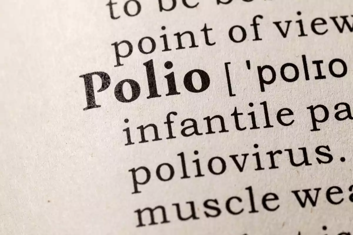 Palabra polio en un diccionario