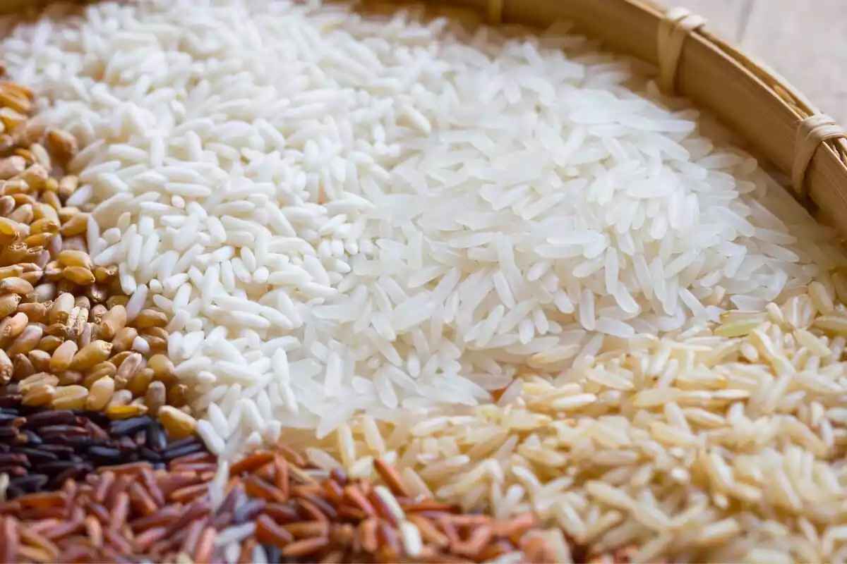 Tipos de arroz en un bol de madera