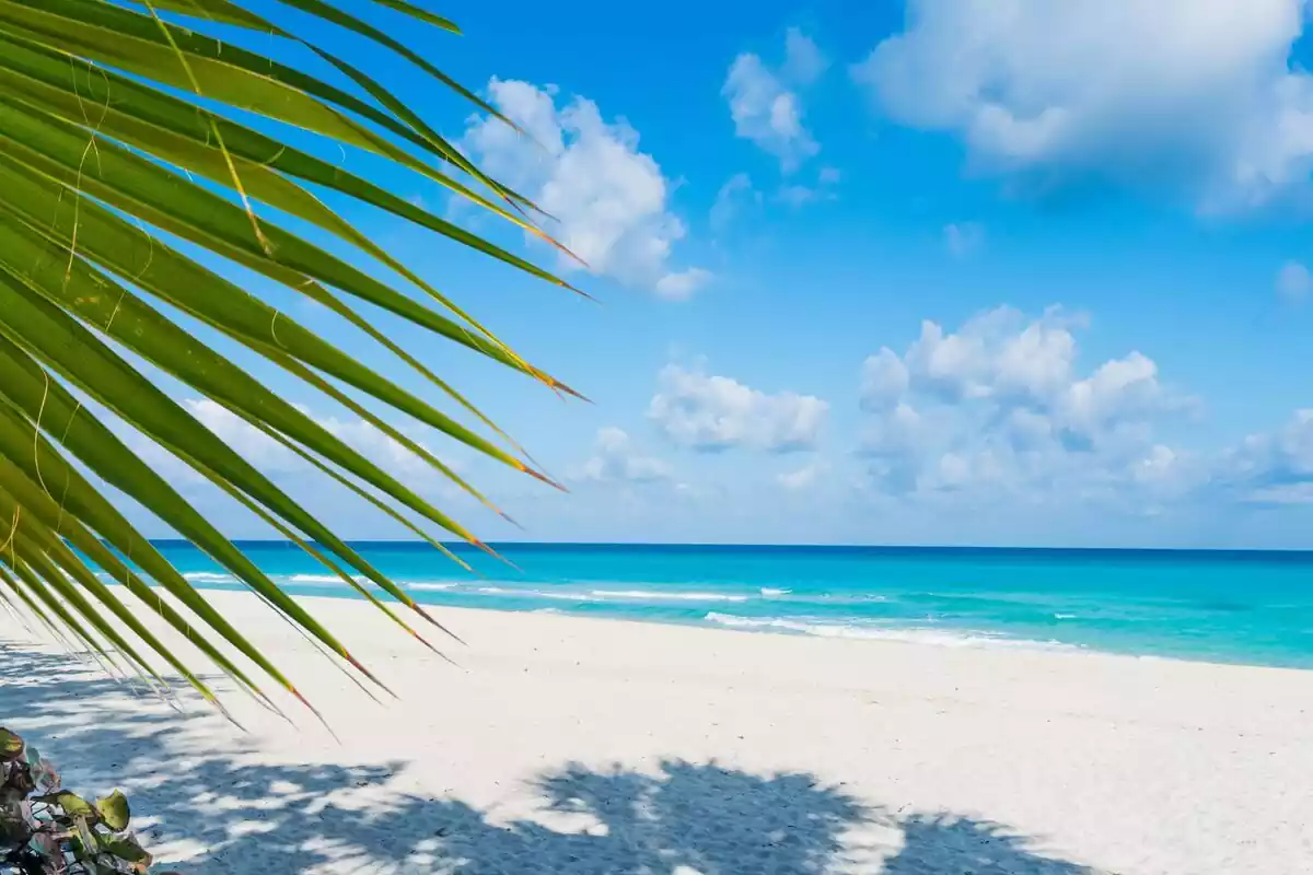 Una playa paradisíaca en Cuba