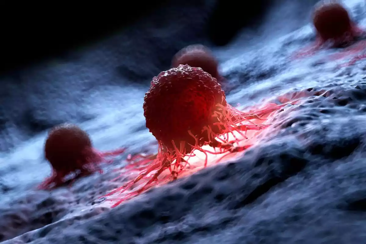 Varias células cancerosas de color rojo en un dibujo