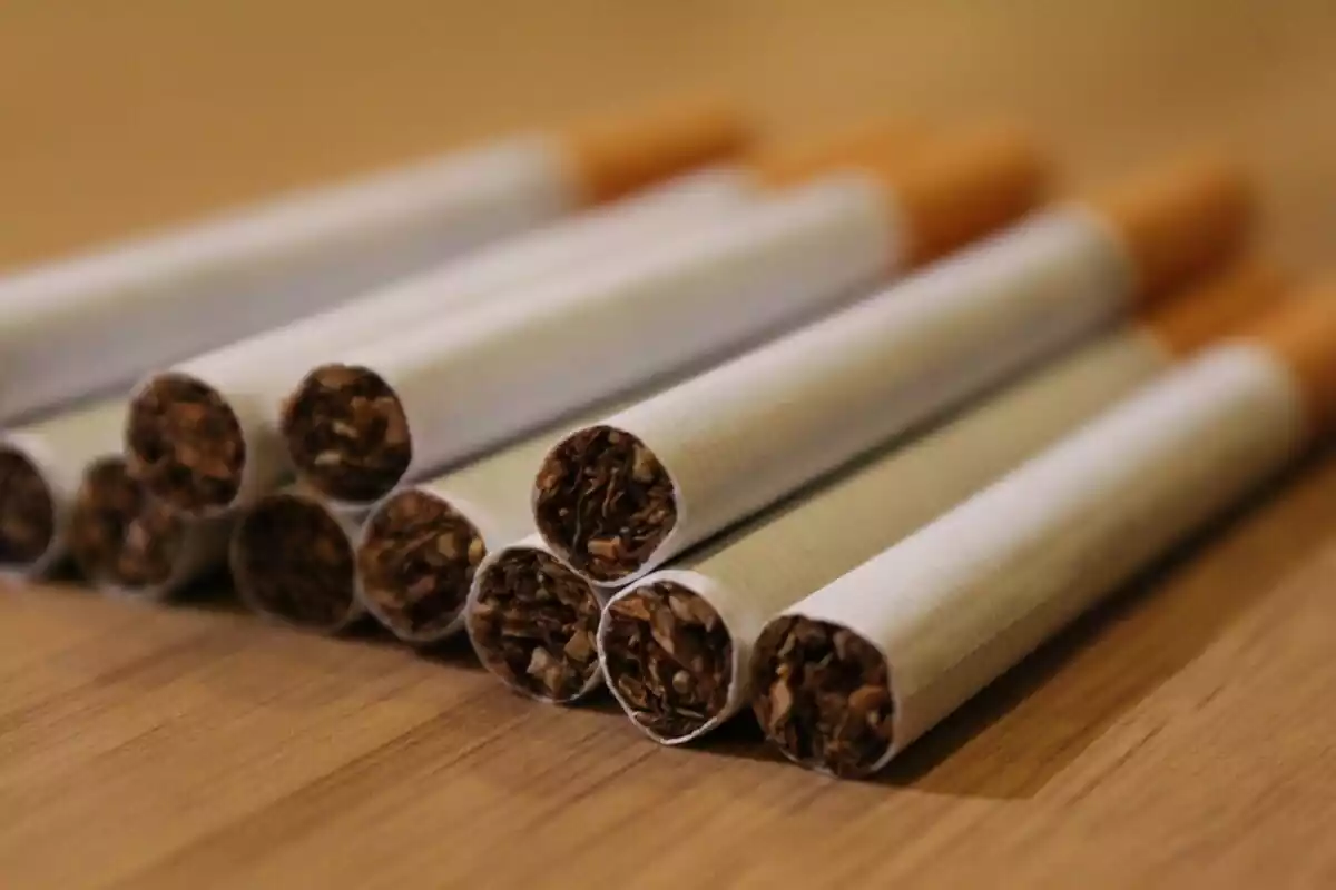 Varios cigarros con el tabaco a la vista sobre una mesa de madera