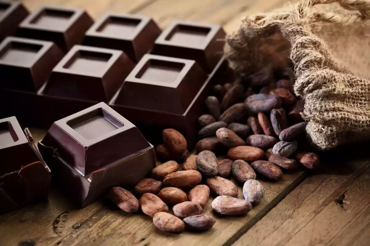 Tableta de chocolate junto a granos de cacao