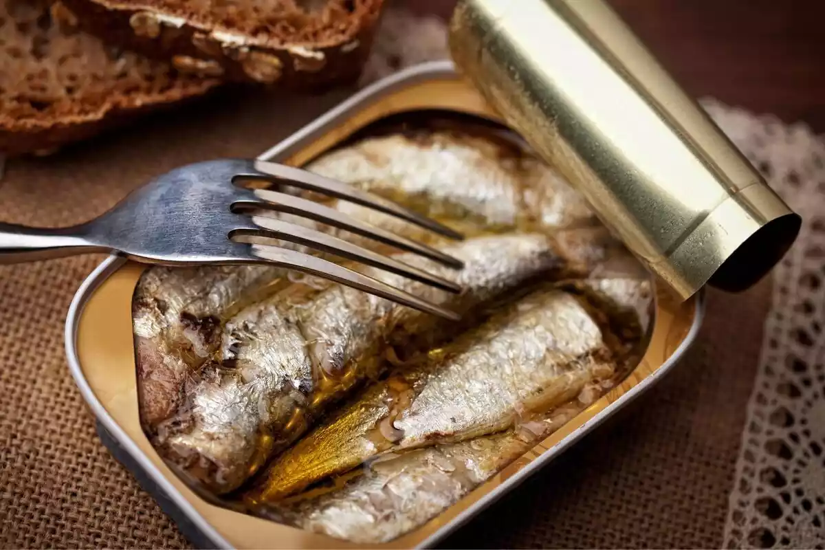 Una lata de sardinas en aceite de girasol con una cuchara a punto de coger una