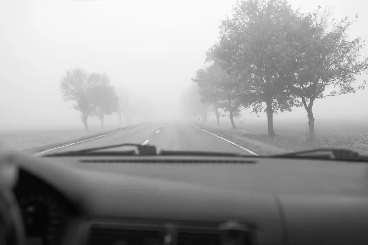 Parte delantera de un coche circulando por una carretera llena de niebla