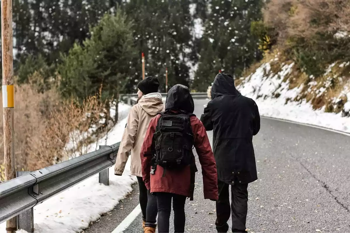 Tres personas de espaldas andando por una carretera nevada