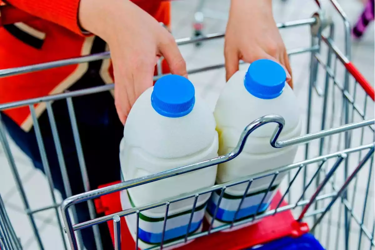 Persona metiendo envases de leche en un carrito de la compra