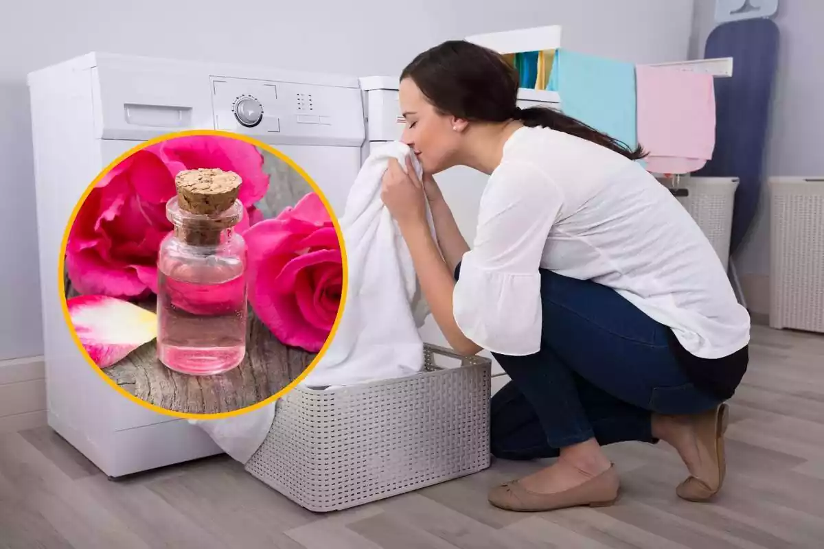 Montaje con mujer oliendo ropa limpia sacada de la lavadora y círculo amarillo con bote de cristal de agua de rosas