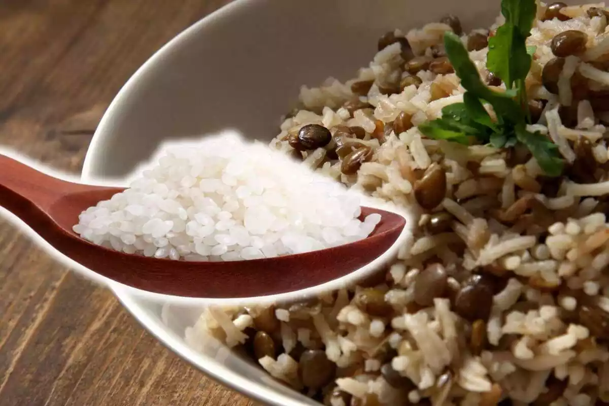 Un plato de risotto y delante una cuchara con arroz blanco
