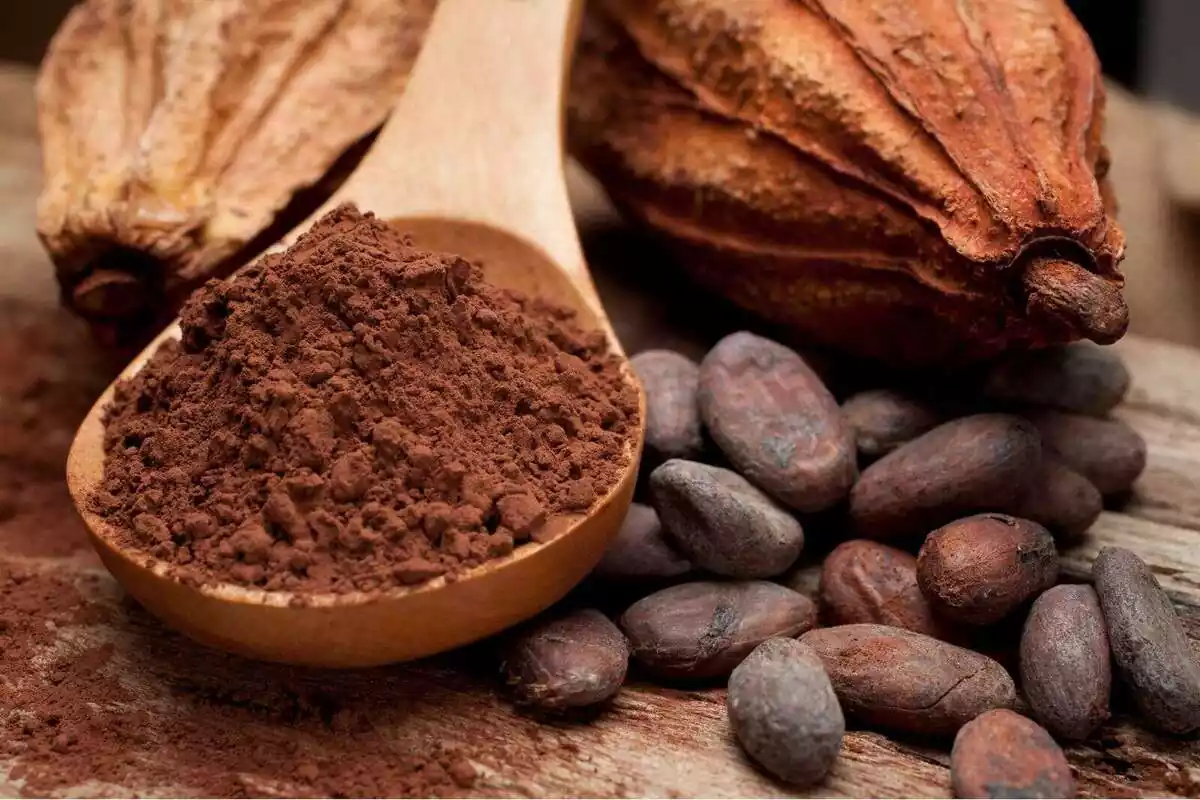 Cacao en grano y en polvo