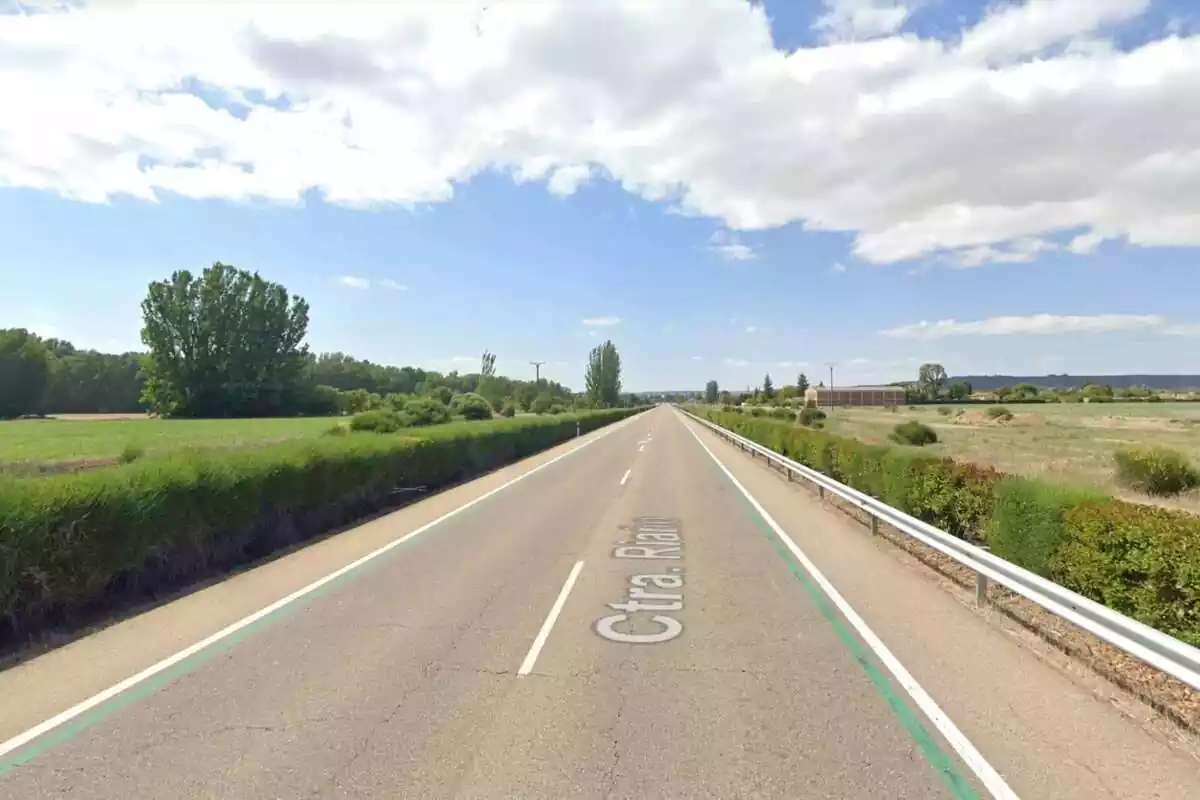 Tramo recto de la carretera CL-615, en Castilla y León, de dos carriles y con líneas verdes continuas en los laterales