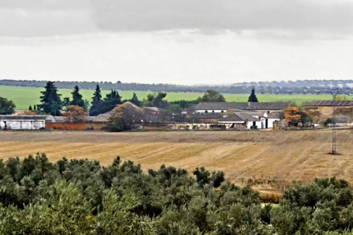 Vista de una finca rural con campos de cultivo y árboles en el horizonte bajo un cielo nublado.