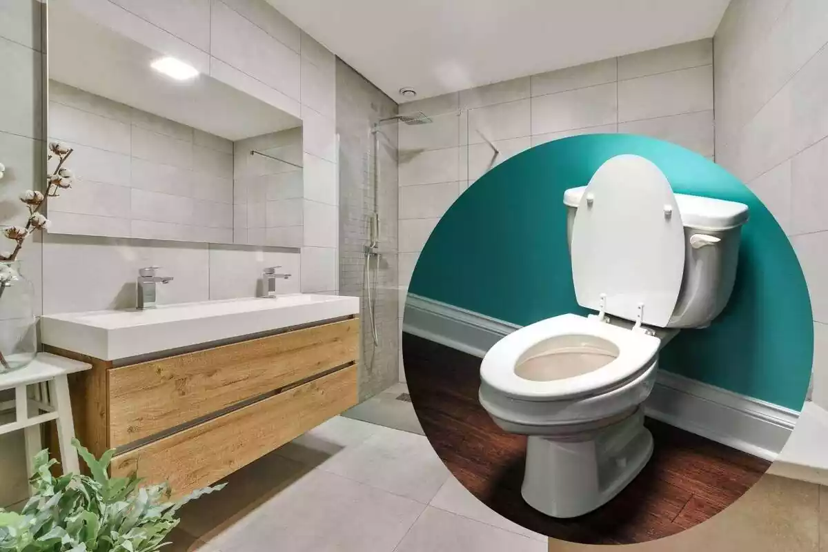Imagen de fondo de un baño con una ducha y una pica doble con un gran espejo y una imagen superpuesta de un inodoro con la tapa subida