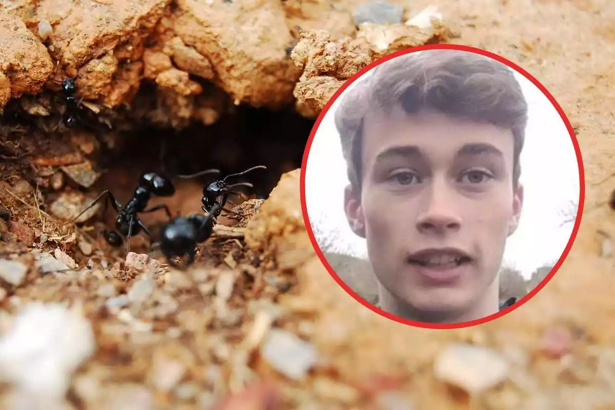 Montaje con el joven Jorge Rey y las hormigas voladoras entrando en su hormiguero