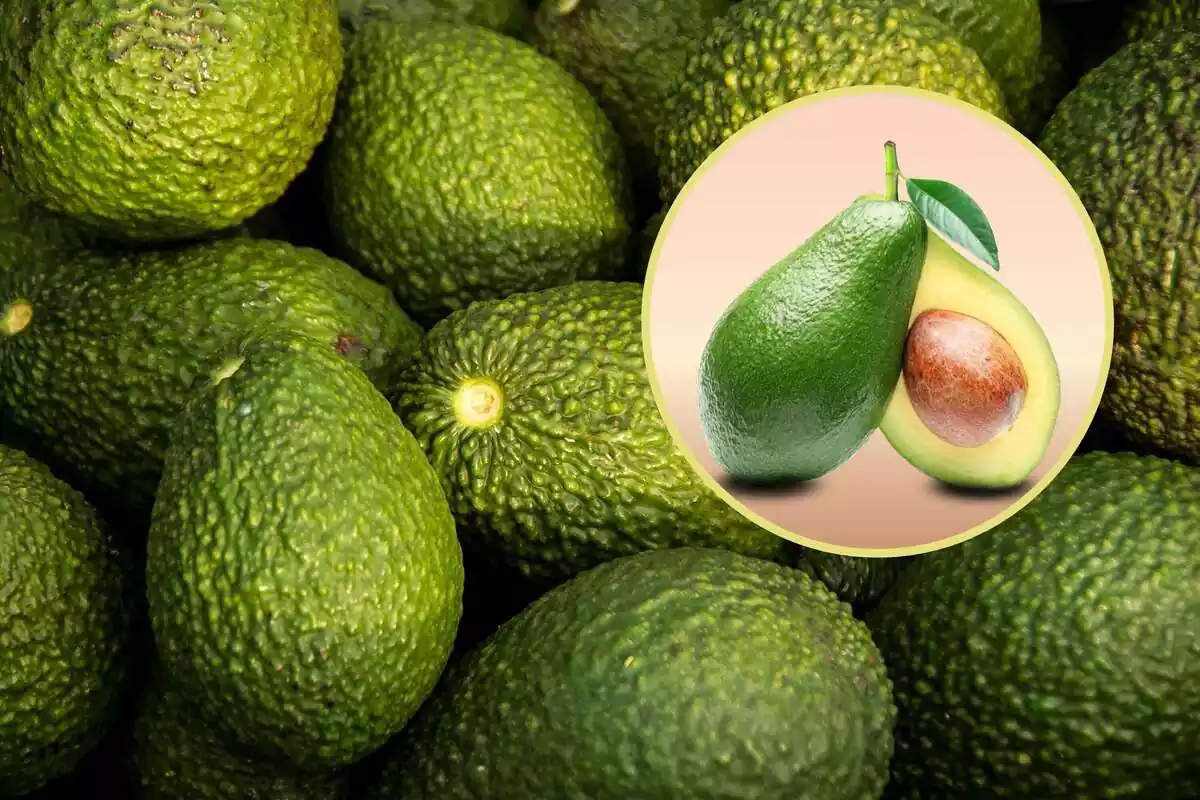 Montage of several avocados and a circle with a split avocado