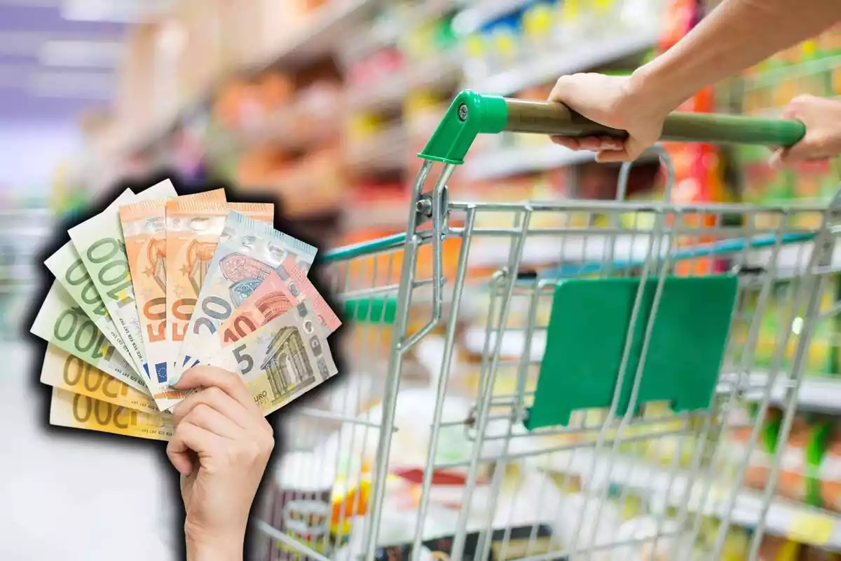 Montaje de un carrito de supermercado y billetes de euro