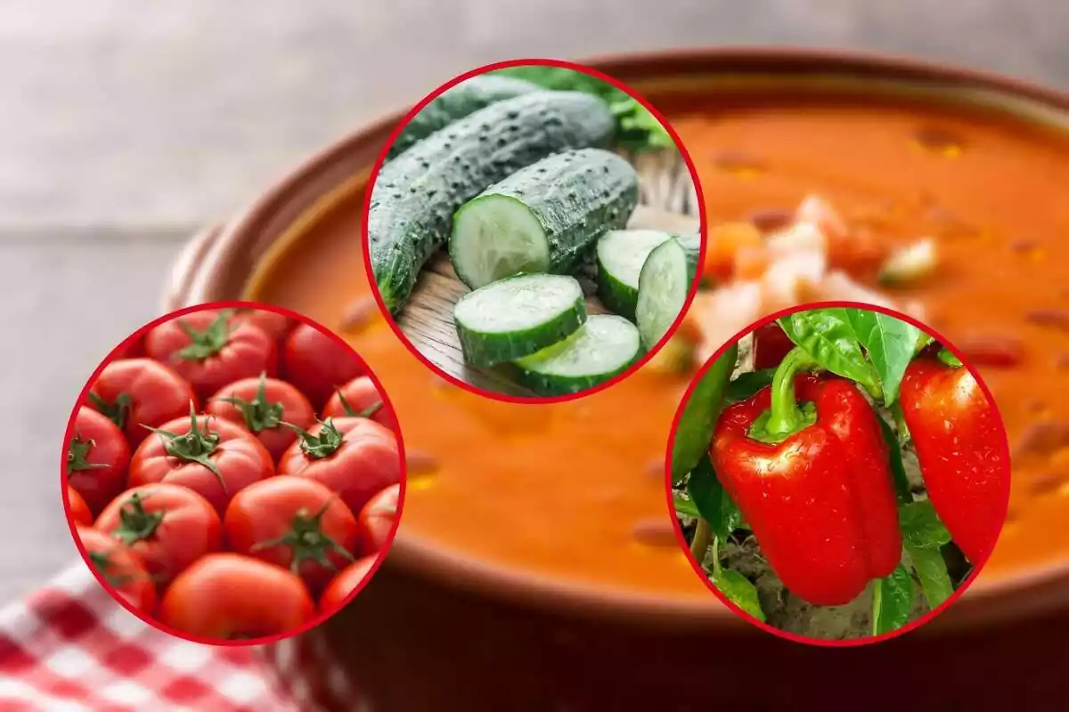 Montaje con un gazpacho de fondo y tres círculos con sus principales ingredientes: tomate, pepino y pimiento