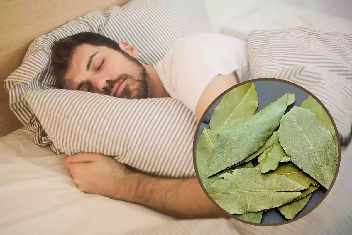 Montaje con un hombre durmiendo y un círculo con varias hojas de laurel