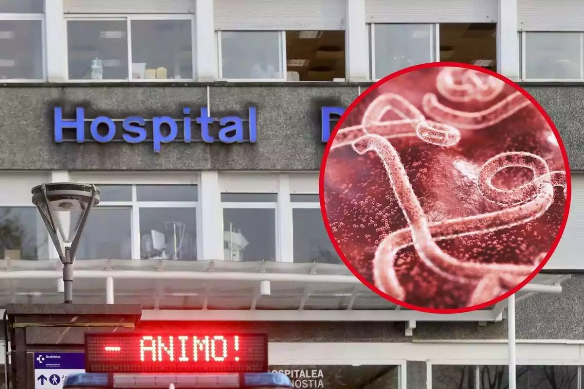 Montaje con el Hospital de Donostia - San Sebastián un mensaje de ánimo y una recreación del ébola