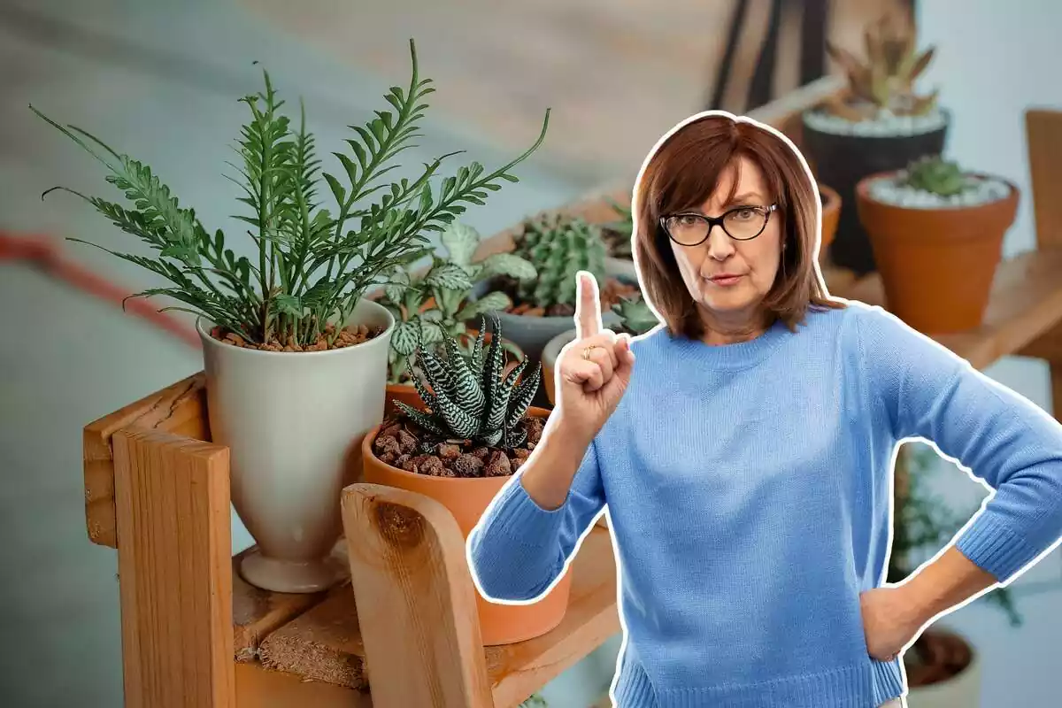 Montaje de un fondo con un banco con macetas de plantas y una mujer alertando con el dedo índice