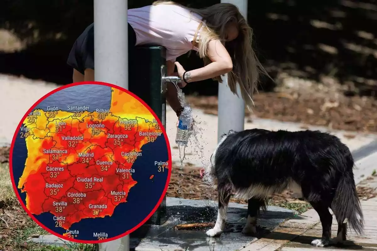 Montaje con una mujer llenando una botella con agua de una fuente junto a un perro y un círculo con el mapa de temperaturas de eltiempo.es