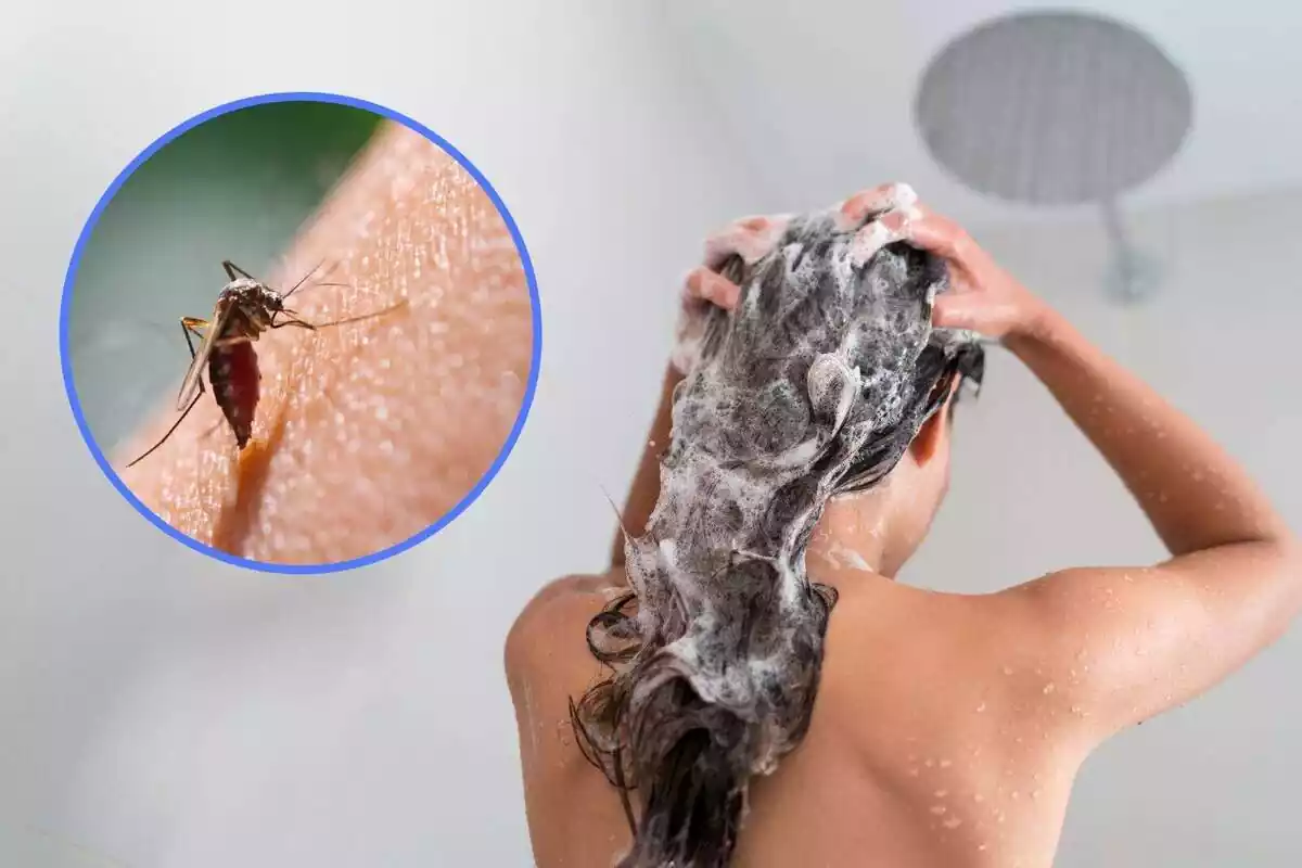 Montaje de una persona duchándose y en un marco una imagen de un mosquito