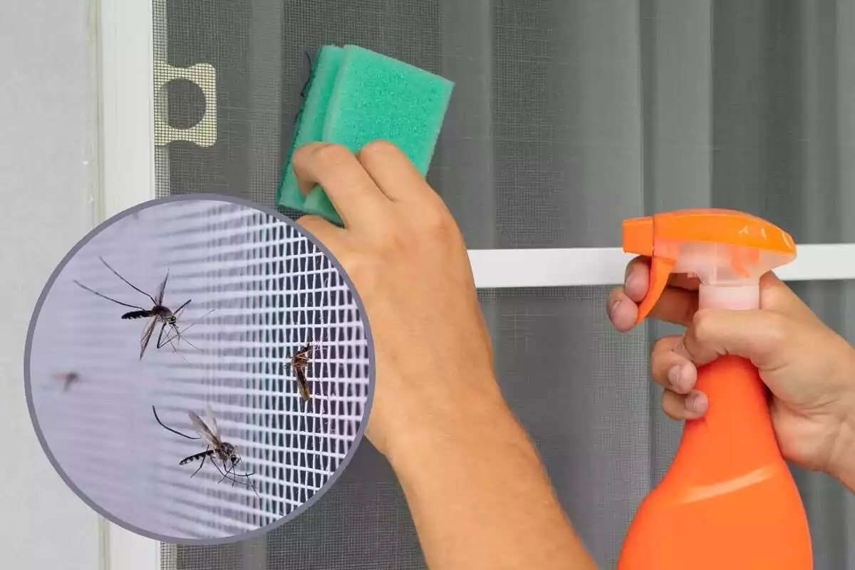 Montaje con una persona limpiando una mosquitera y un círculo con varios mosquitos