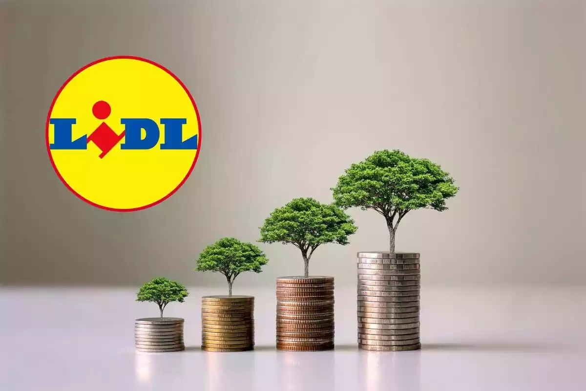 Montaje de una imagen mostrando sostenibilidad con árboles y dinero y el logo de Lidl