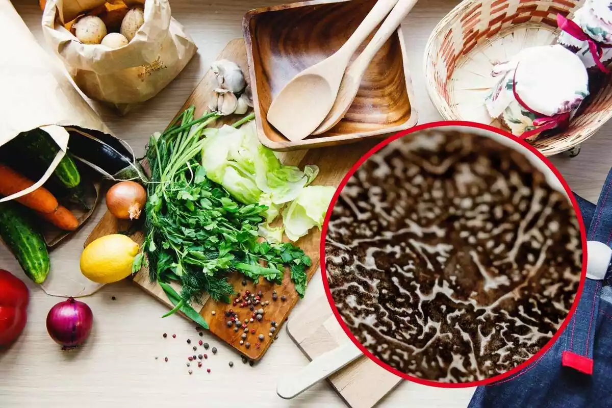 Montaje con varios alimentos en la encimera de una cocina y un círculo con un plano detalle de una trufa negra