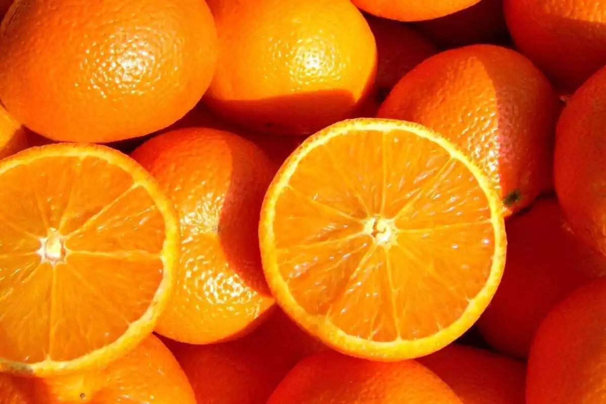 Varias naranjas amontonadas