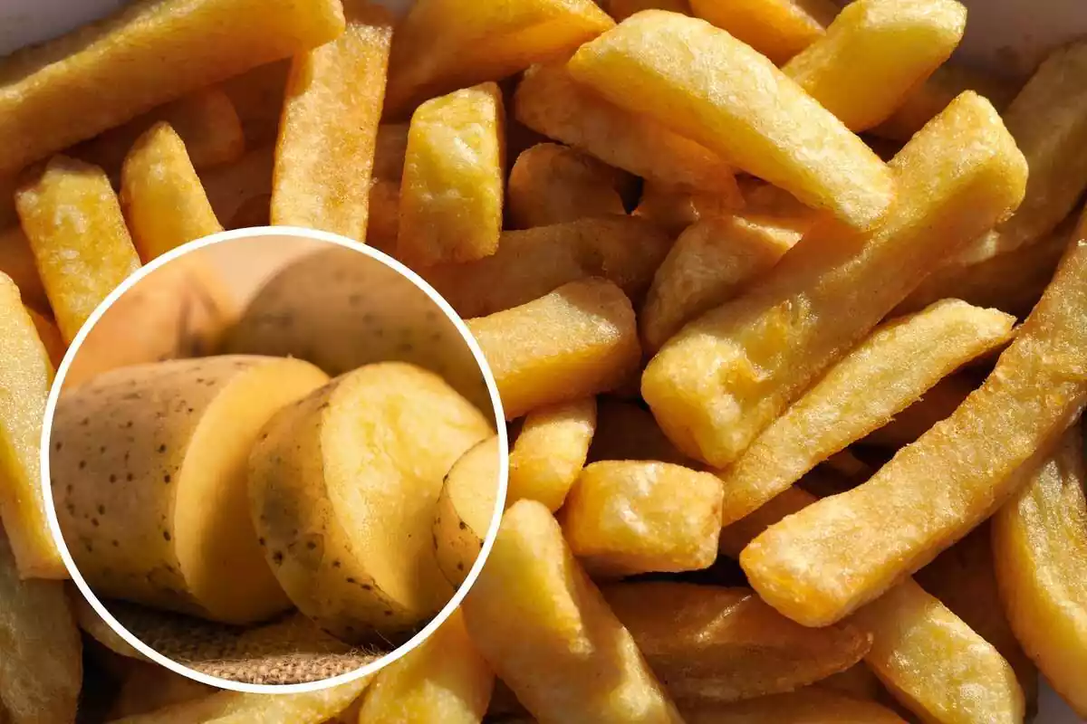 Montaje con varias patatas fritas amontonadas y un círculo con una patata cruda cortada a rodajas