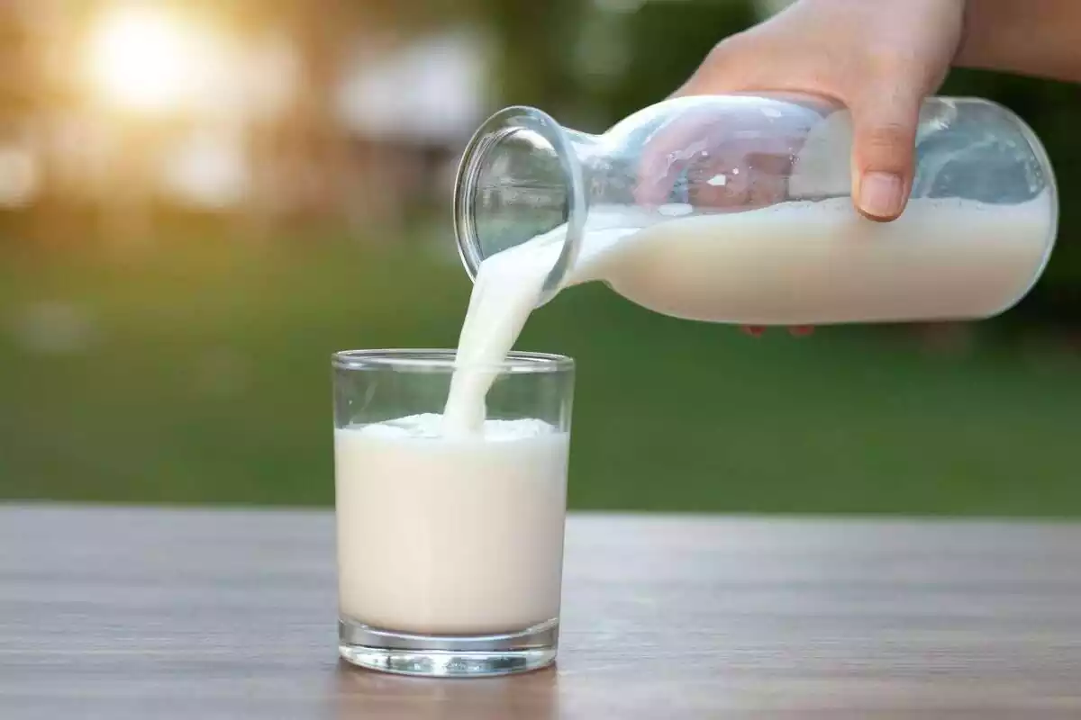 Persona llenando un vaso de leche